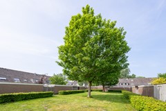 Z08_3977.jpg