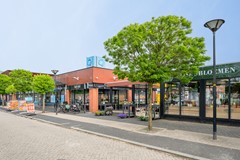 Z08_4097.jpg