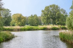 Z50_9319.jpg