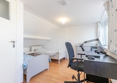 Andreis Schotkade 8 Leiden-29.jpg