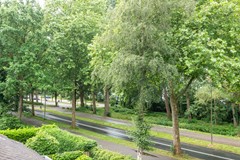 Helmhof 36 Alphen aan den Rijn-38.jpg
