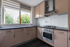Parelduiker 41 Noordwijk-10.jpg