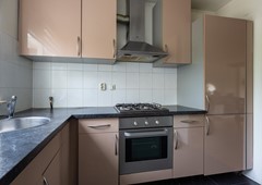 Parelduiker 41 Noordwijk-11.jpg