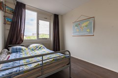 Parelduiker 41 Noordwijk-29.jpg