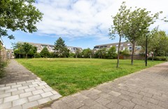 Parelduiker 41 Noordwijk-36.jpg