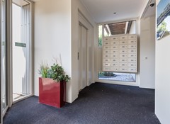 Plantage 157 Oude Wetering -3.jpg
