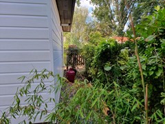 20260911_175419.jpg