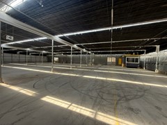 IMG_7836.JPEG