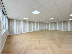 IMG_8548.JPEG
