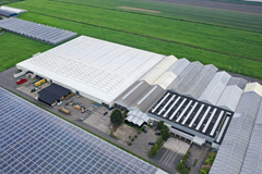 Noorddammerweg_95_TeHuur_Bedrijfsruimte_Handelskwekerij_Amstelveen_NextStep (7).png