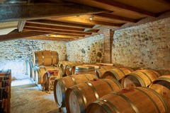 Cigales sfeer 22.jpg.jpg