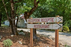 Cigales sfeer 47.jpg.jpg