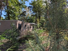 PHOTO-2025-08-29-13-09-00 3.jpg