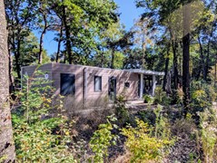 PHOTO-2025-08-29-13-09-00 4.jpg