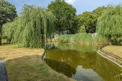 Zonneoordlaan474076718tlEde-18.jpg