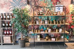 Foto - Lanzac vakantiepark 2b Frankrijk Dordogne Lot vakantiehuis luxe zwembad animatie restaurant.jpg