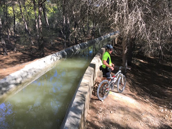 Medium property photo - San Fulgencio, San Fulgencio