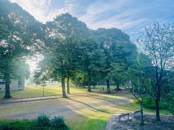 Medium property photo - Korenbloemstraat 53, 5025 PM Tilburg