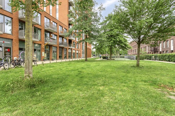 Medium property photo - Kempenaarplaats 52, 5017 DX Tilburg