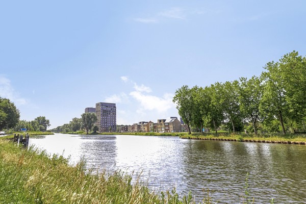 Medium property photo - Jan Pieterszoon Coenstraat 77, 5018 CR Tilburg