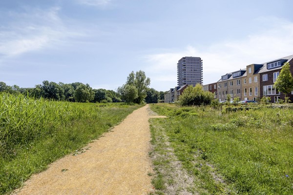 Medium property photo - Delflandstraat 26, 5018 DD Tilburg