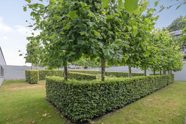 Medium property photo - Cypresstraat 7, 5038 KS Tilburg
