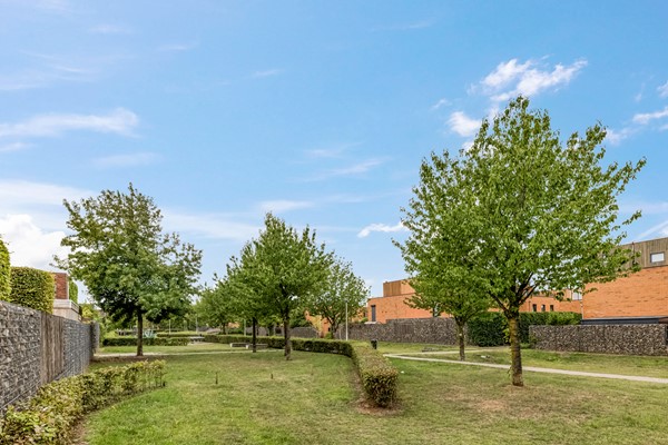 Medium property photo - Wijboschstraat 26, 5036 BA Tilburg