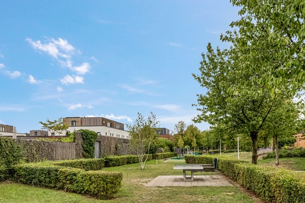 Medium property photo - Wijboschstraat 26, 5036 BA Tilburg