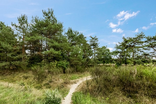 Medium property photo - Wijboschstraat 26, 5036 BA Tilburg