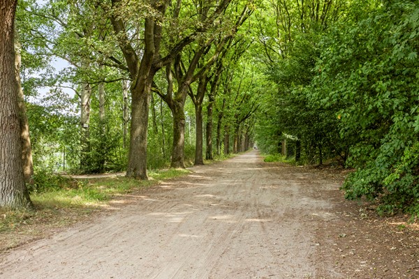 Medium property photo - Caspar Houbenplein 14, 5018 DC Tilburg