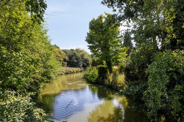 Medium property photo - Barneveldstraat 27, 5043 CA Tilburg