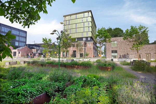 Medium property photo - Atelierstraat 276, 5041 AA Tilburg