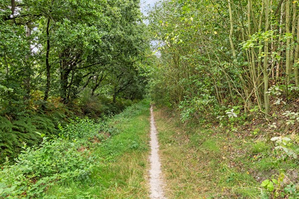 Medium property photo - Abcoudestraat 28, 5036 CM Tilburg