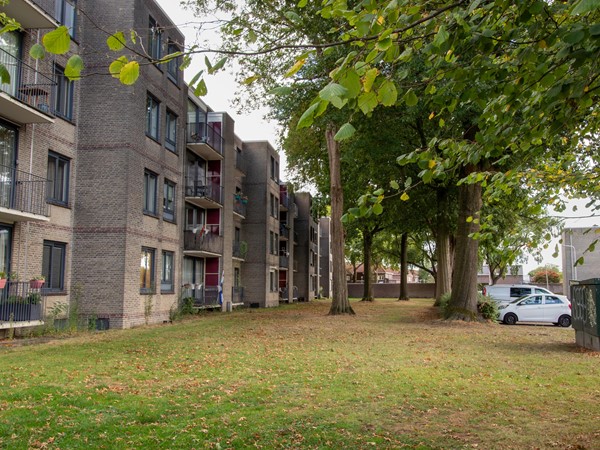 Medium property photo - Waterhoefstraat 5c, 5041 HA Tilburg