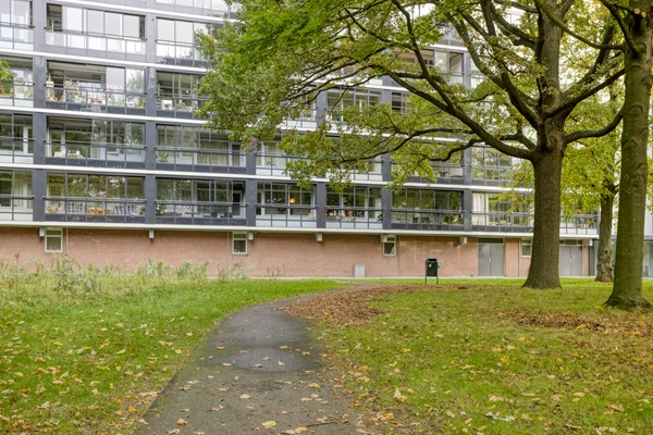 Medium property photo - Mozartlaan 265, 5011 SG Tilburg