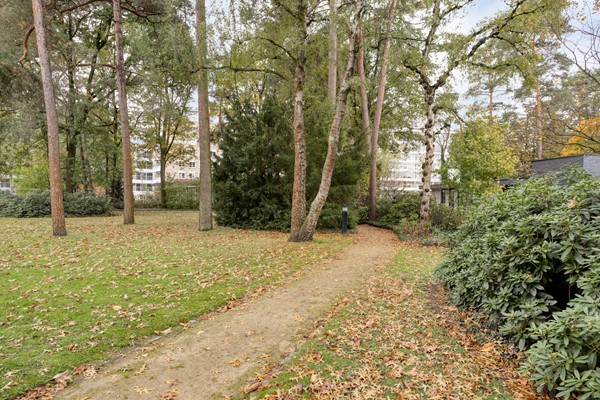 Medium property photo - Magentahof 64, 5044 SP Tilburg