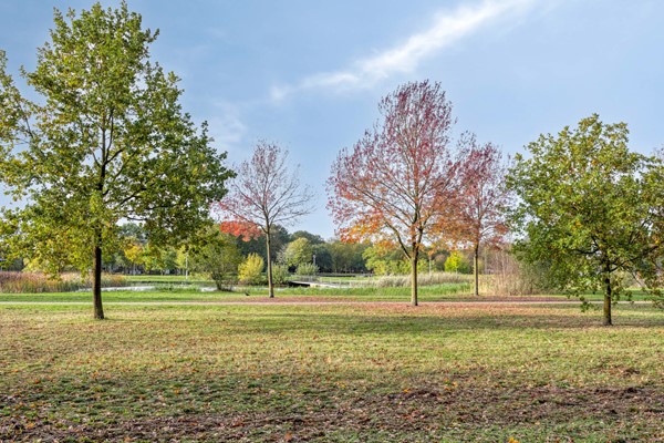 Medium property photo - Holtenstraat 41, 5045 CE Tilburg