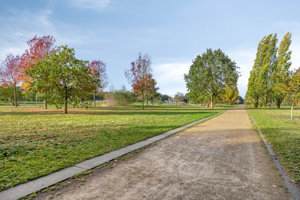 Medium property photo - Holtenstraat 41, 5045 CE Tilburg