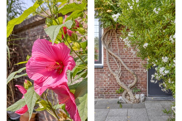 Medium property photo - Sint Josephstraat 72, 5017 GJ Tilburg