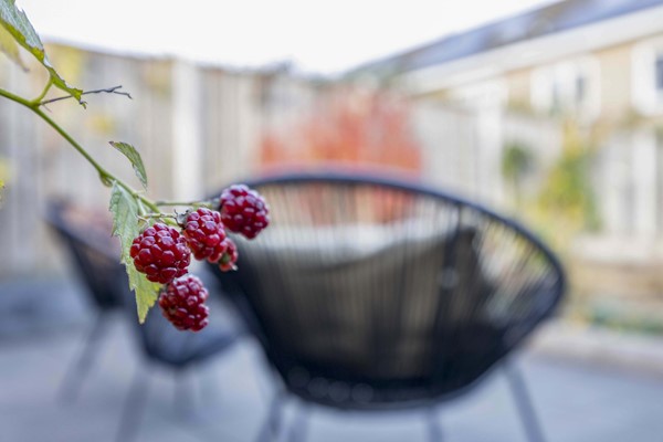 Medium property photo - Guido Gezellelaan 32, 5056 TL Berkel-Enschot