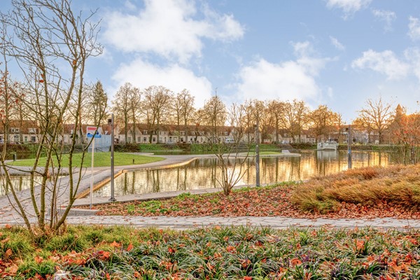 Medium property photo - Korenbloemstraat 165, 5025 PR Tilburg