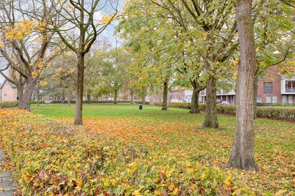 Medium property photo - Danie Theronstraat 22, 5025 DG Tilburg