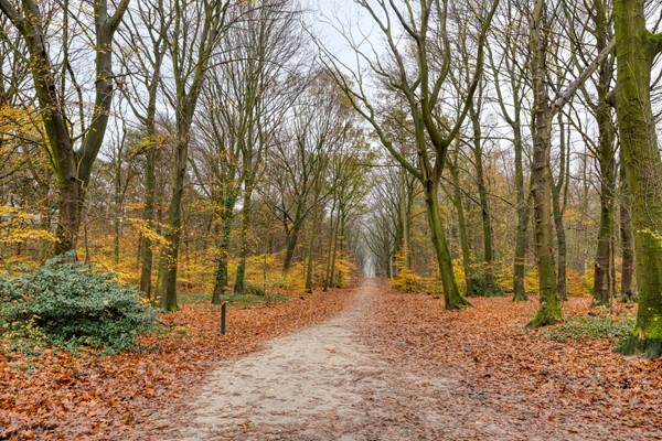 Medium property photo - Kijkduinlaan 3, 5045 PE Tilburg