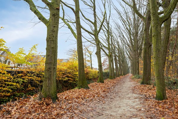 Medium property photo - Kijkduinlaan 3, 5045 PE Tilburg