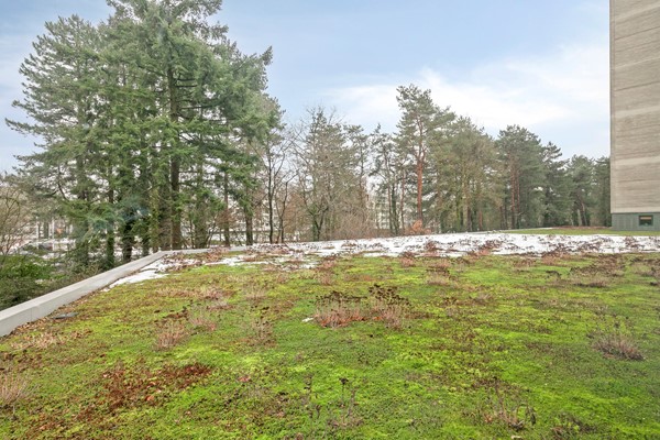 Medium property photo - Magentahof 39, 5044 SP Tilburg