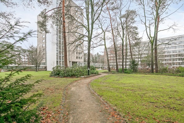 Medium property photo - Magentahof 39, 5044 SP Tilburg