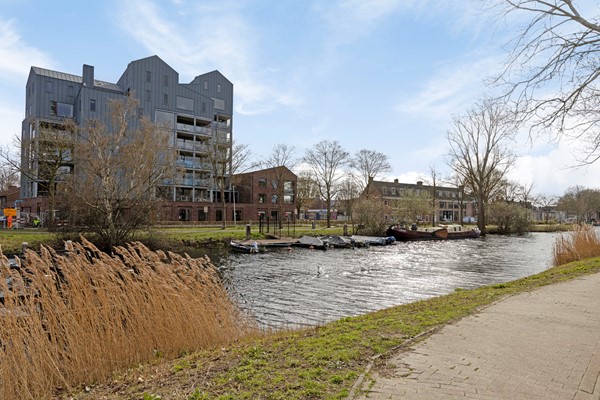 Medium property photo - Galjoenstraat 34, 5017 CN Tilburg