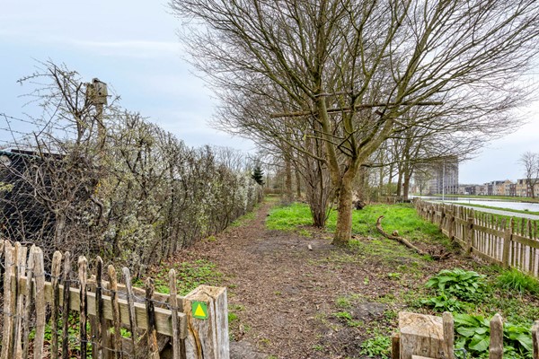 Medium property photo - Bosscheweg 206, 5015 AG Tilburg