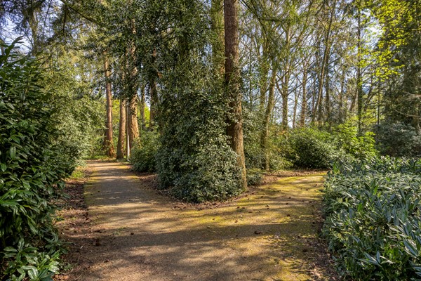 Medium property photo - Kasteel Montfoortstraat 38, 5037 TE Tilburg