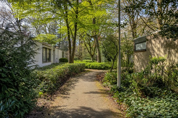 Medium property photo - Kasteel Montfoortstraat 38, 5037 TE Tilburg